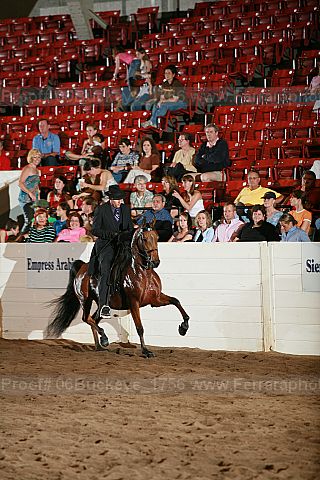Proof 06buckeye_1756