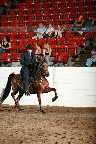 Proof 06buckeye_1757