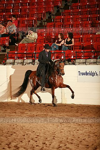 Proof 06buckeye_1758