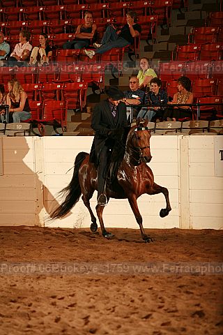 Proof 06buckeye_1759