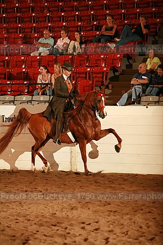Proof 06buckeye_1760