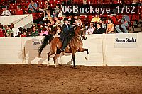 06buckeye_1762 proof