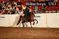 06buckeye_1763 proof
