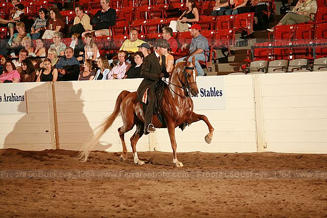 Proof 06buckeye_1764