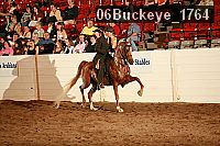 06buckeye_1764 proof