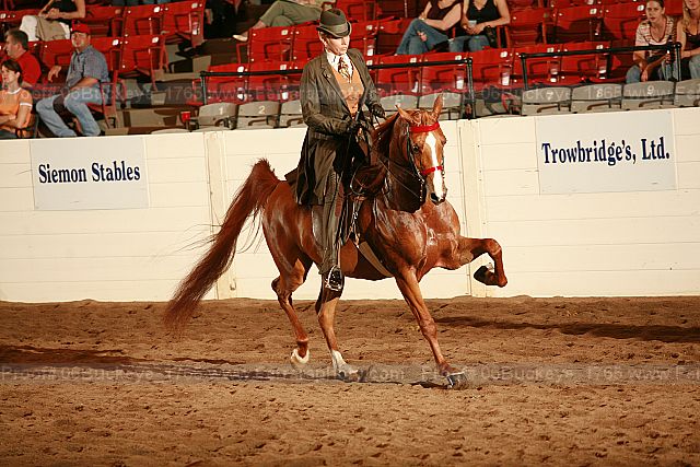 Proof 06buckeye_1765