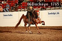 06buckeye_1765 proof