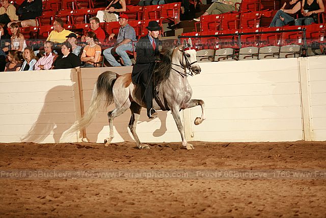 Proof 06buckeye_1766