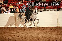 06buckeye_1766 proof