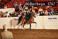 06buckeye_1767 proof