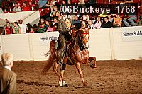 06buckeye_1768 proof
