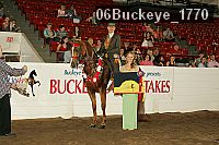 06buckeye_1770 proof