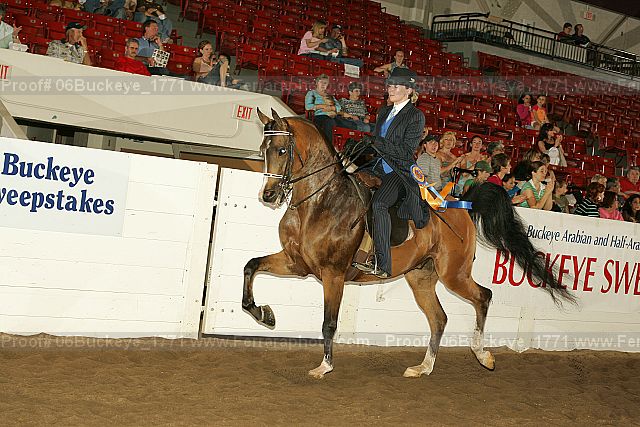 Proof 06buckeye_1771
