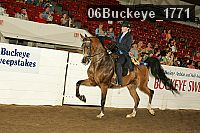 06buckeye_1771 proof