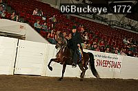 06buckeye_1772 proof
