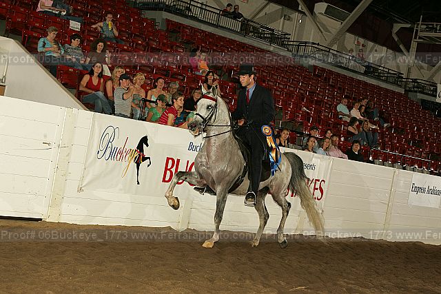 Proof 06buckeye_1773