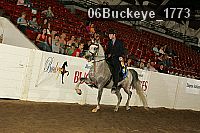 06buckeye_1773 proof