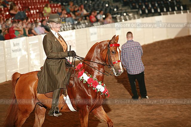 Proof 06buckeye_1774
