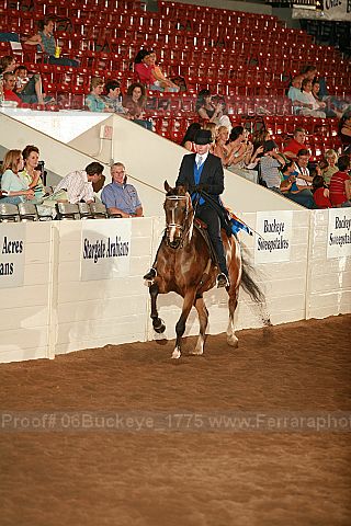 Proof 06buckeye_1775