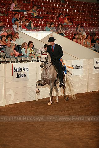 Proof 06buckeye_1777