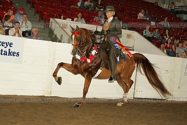 Proof 06buckeye_1779