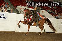 06buckeye_1779 proof
