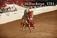 06buckeye_1781 proof