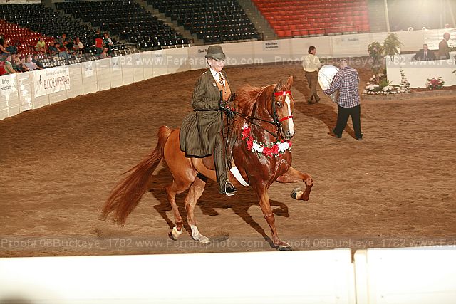 Proof 06buckeye_1782