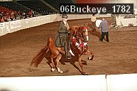 06buckeye_1782 proof