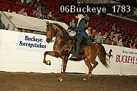 06buckeye_1783 proof