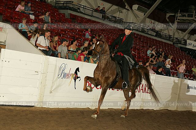 Proof 06buckeye_1784