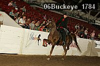 06buckeye_1784 proof