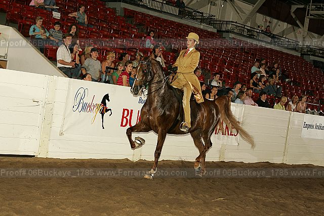 Proof 06buckeye_1785