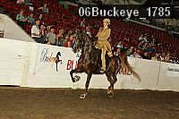 06buckeye_1785 proof
