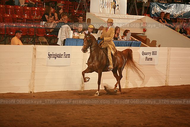 Proof 06buckeye_1786