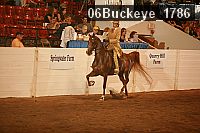 06buckeye_1786 proof