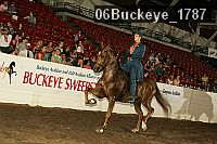 06buckeye_1787 proof