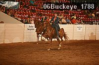 06buckeye_1788 proof
