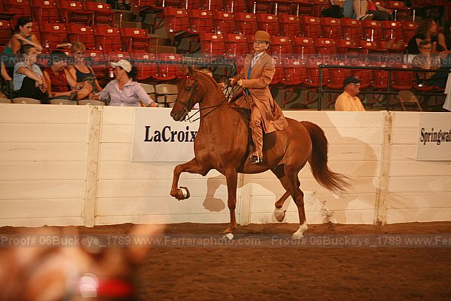 Proof 06buckeye_1789