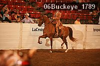 06buckeye_1789 proof