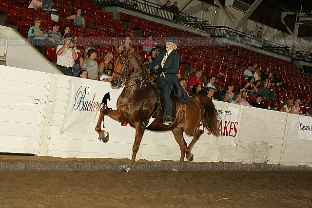 Proof 06buckeye_1790