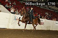 06buckeye_1790 proof