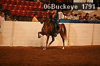 06buckeye_1791 proof