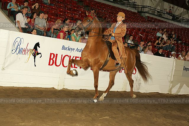 Proof 06buckeye_1793