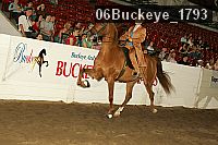 06buckeye_1793 proof