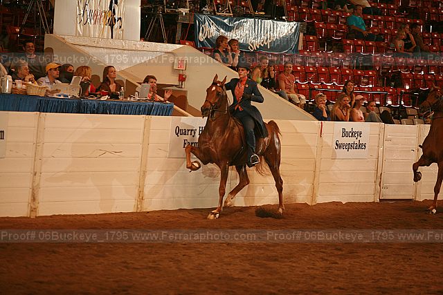 Proof 06buckeye_1795