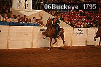 06buckeye_1795 proof
