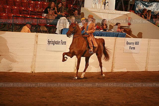Proof 06buckeye_1796