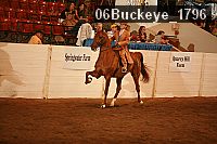 06buckeye_1796 proof