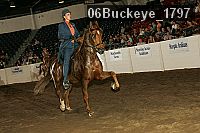 06buckeye_1797 proof